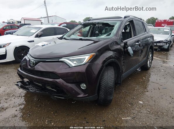 2T3DFREV4HW650403 2017 TOYOTA RAV4 Maroon Առջևի ձախ երեք քառորդ տեսարան