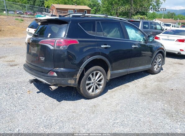 2T3DFREV6GW496131 2016 TOYOTA RAV4 Black Հետևի աջ