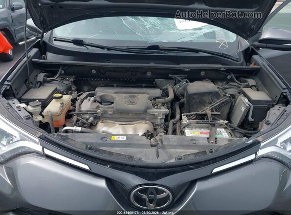 2T3DFREV8GW487415 2016 TOYOTA RAV4 Gray Вид ззаду