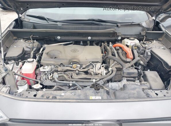 2T3DWRFV9LW076601 2020 TOYOTA LIMITED Gray Հետևի տեսք
