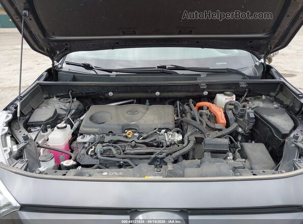 2T3E6RFV3RW047172 2024 TOYOTA RAV4 HYBRID Gray Widok z tyłu