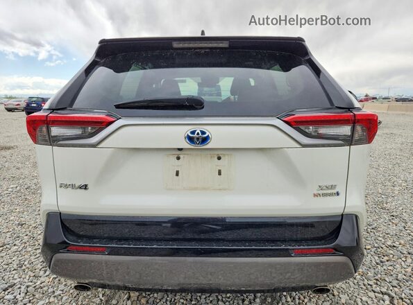 2T3E6RFVXMW004280 2021 TOYOTA RAV4 White უკანა ხედი