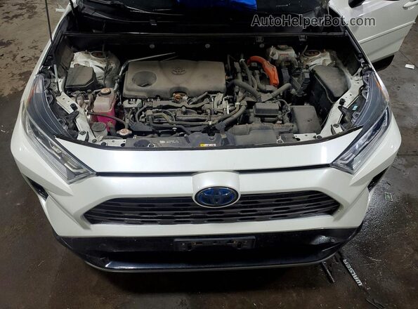 2T3EWRFV4LW054185 2020 TOYOTA RAV4 Белый 