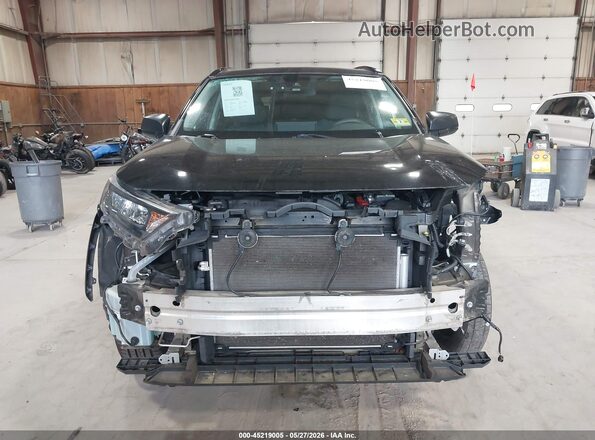 2T3F1RFV2LW084692 2020 TOYOTA RAV4 Black Вид задньої частини салону