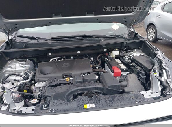 2T3F1RFV4SW573156 2025 TOYOTA RAV4 Silver Rear view