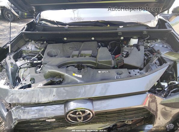 2T3F1RFVXSW521630 2025 TOYOTA RAV4 Gray Widok z tyłu