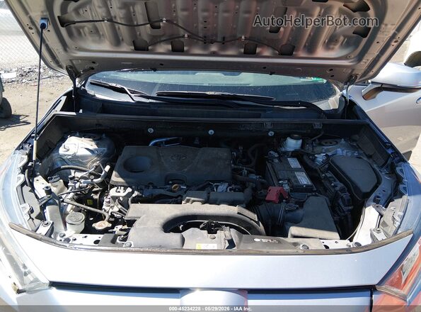 2T3G1RFV6KC004573 2019 TOYOTA RAV4 Gray უკანა ხედი