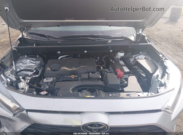 2T3G1RFV6SC556798 2025 TOYOTA RAV4 Gray Widok z tyłu