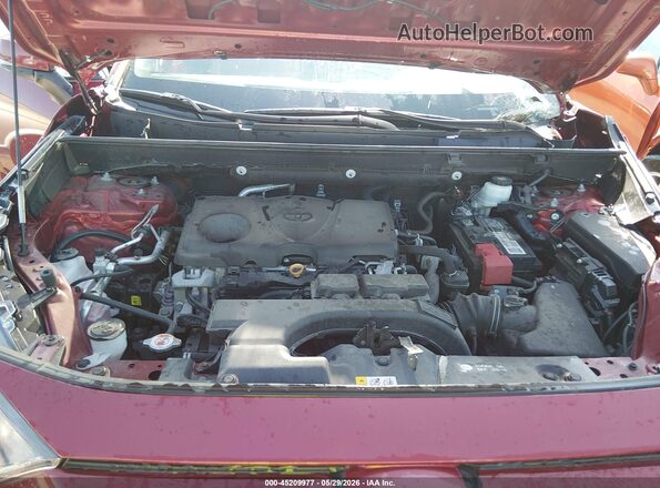 2T3G1RFV7KC006736 2019 TOYOTA RAV4 Красный Вид сзади