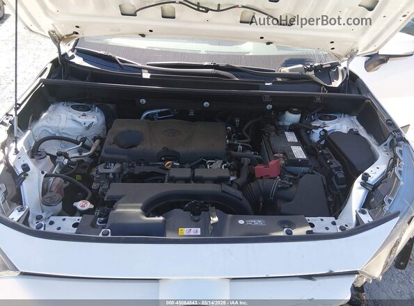 2T3G1RFV8KW015945 2019 TOYOTA LE White Widok z tyłu