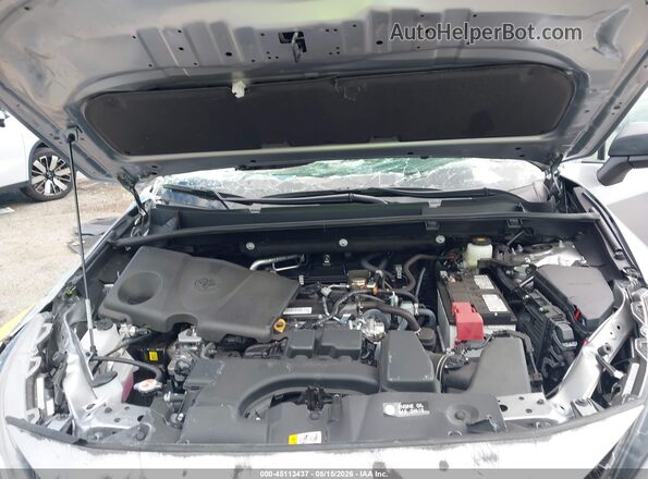 2T3H1RFV1SC352432 2025 TOYOTA RAV4 Silver Rear view