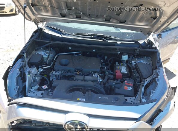 2T3H1RFV5KW042377 2019 TOYOTA RAV4 Silver Widok z tyłu