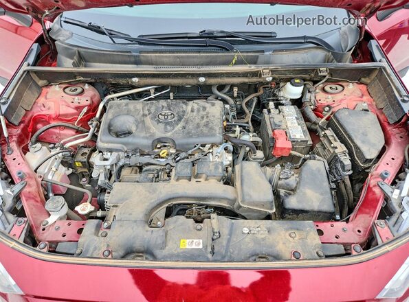 2T3H1RFV5PW252680 2023 TOYOTA RAV4 Red 