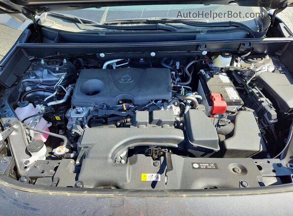 2T3H1RFV7SW435748 2025 TOYOTA RAV4 Серый Вид задней части салона