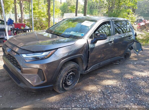 2T3H1RFV9RC256042 2024 TOYOTA LE Gray 
