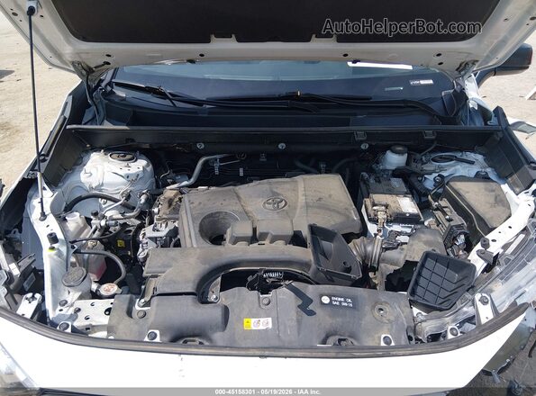 2T3H1RFV9RW307683 2024 TOYOTA RAV4 White Widok z tyłu