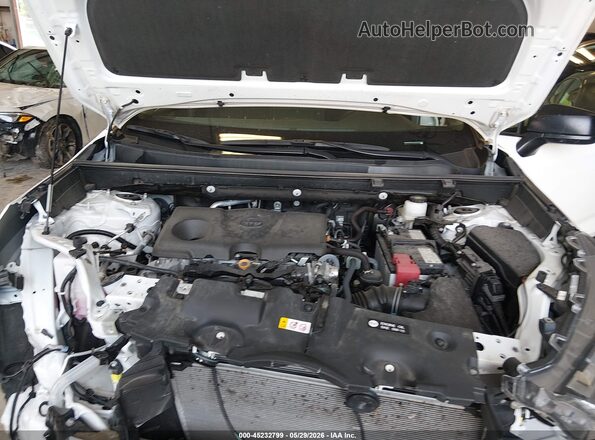2T3H1RFV9RW359024 2024 TOYOTA RAV4 Dark Brown უკანა ხედი