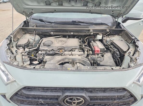 2T3J1RFV5KW044034 2019 TOYOTA RAV4 Beige Սալոնի հետևի տեսք