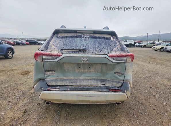 2T3J1RFV5KW044034 2019 TOYOTA RAV4 Beige Հետևի տեսք