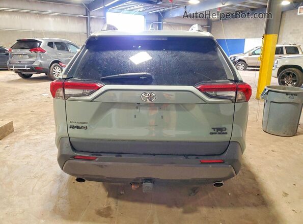 2T3J1RFV6LC073318 2020 TOYOTA RAV4 Gray უკანა ხედი