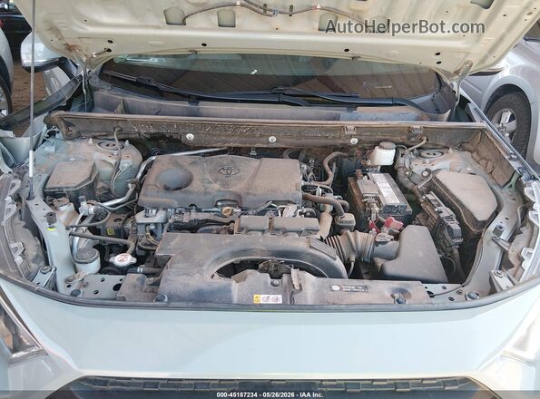 2T3J1RFV8KW034100 2019 TOYOTA RAV4 Gray Widok z tyłu