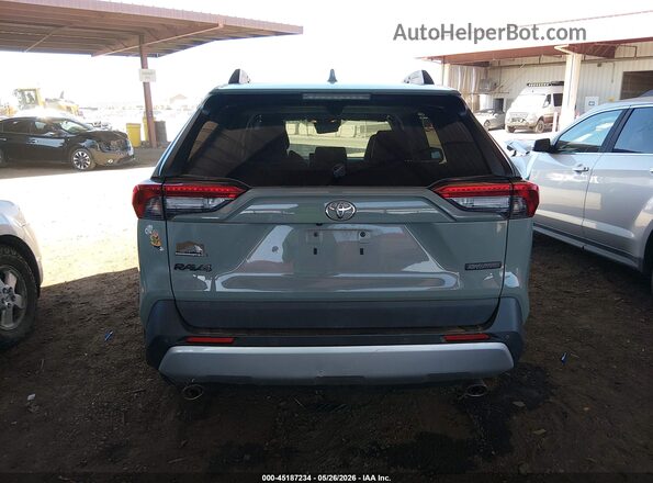 2T3J1RFV8KW034100 2019 TOYOTA RAV4 Gray 