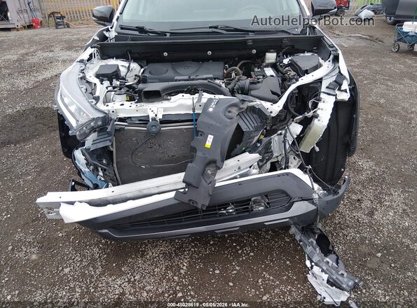 2T3J1RFVXLC087092 2020 TOYOTA RAV4 Белый Вид спереди