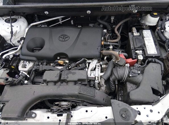 2T3J1RFVXLC087092 2020 TOYOTA RAV4 Белый Вид сзади