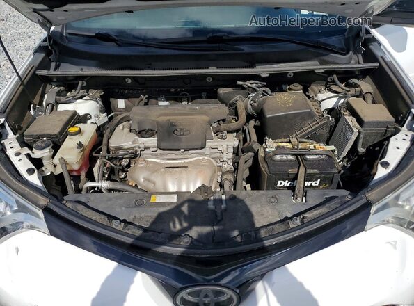 2T3JFREV2HW609707 2017 TOYOTA RAV4 White Սալոնի հետևի տեսք