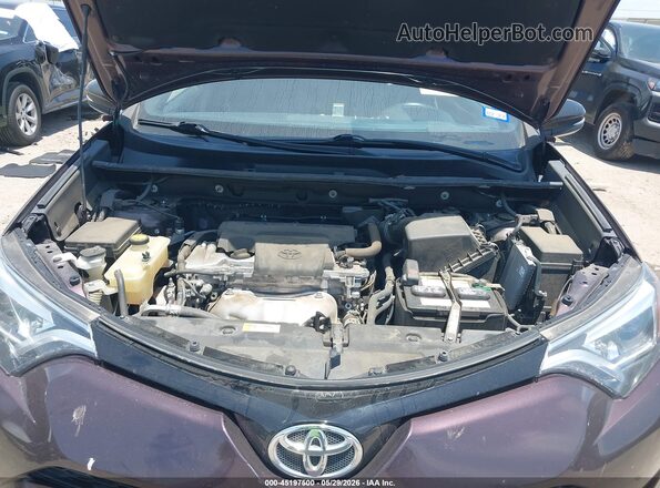 2T3JFREV7GW517149 2016 TOYOTA RAV4 Maroon Vista trasera