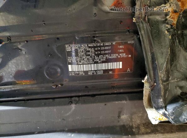 2T3MWRFV0RW193850 2024 TOYOTA RAV Black Vista de la etiqueta del VIN