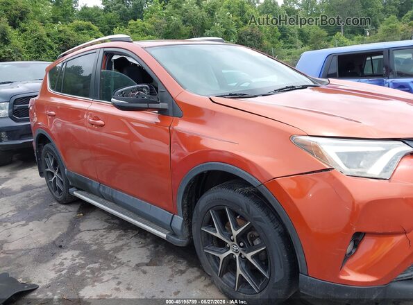2T3NFREV8GW261931 2016 TOYOTA RAV4 Оранжевый Вид задней части салона