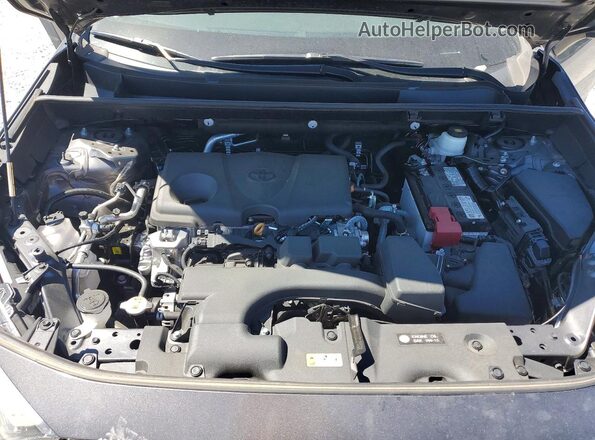 2T3P1RFV1PW353064 2023 TOYOTA RAV4 Gray 