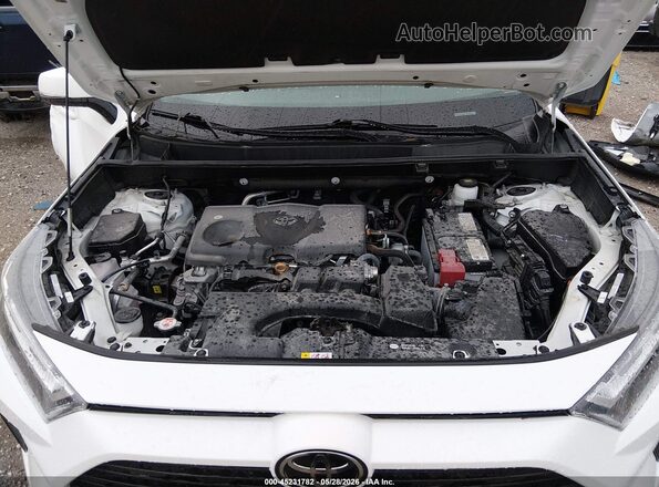 2T3P1RFV1RC443531 2024 TOYOTA RAV4 Белый Вид сзади