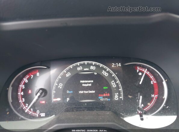 2T3P1RFV4PC384777 2023 TOYOTA LE Gray უკანა სავარძლების ხედი