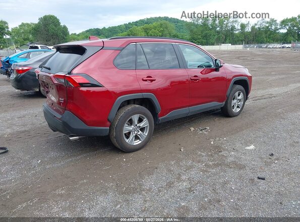 2T3P1RFV4RW441058 2024 TOYOTA RAV4 Red Tył prawy