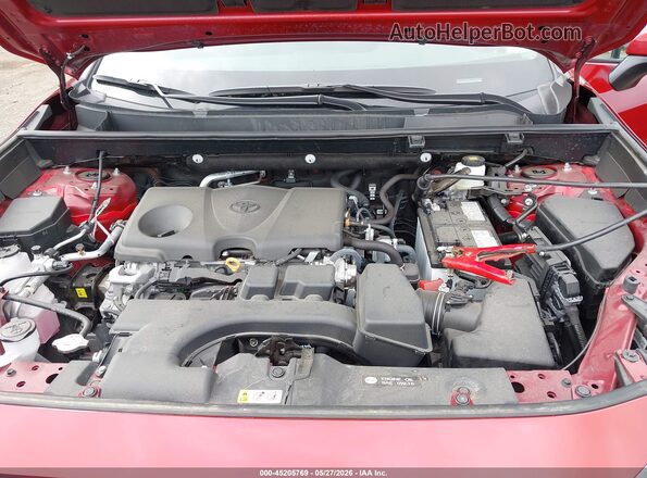 2T3P1RFV4RW441058 2024 TOYOTA RAV4 Red Widok z tyłu