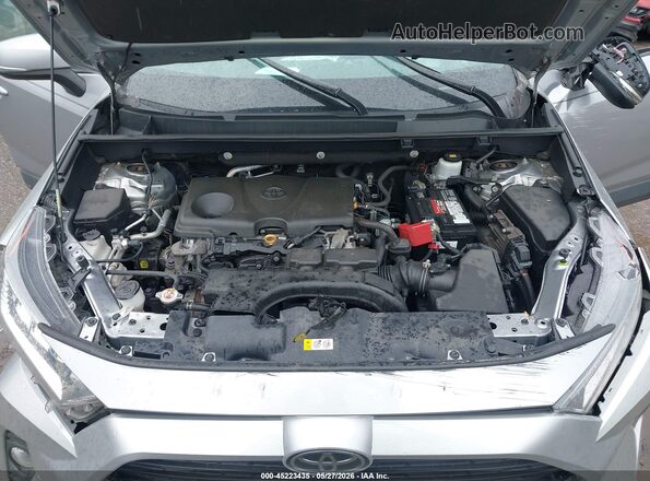 2T3P1RFV5LC096390 2020 TOYOTA RAV4 Silver Widok z tyłu