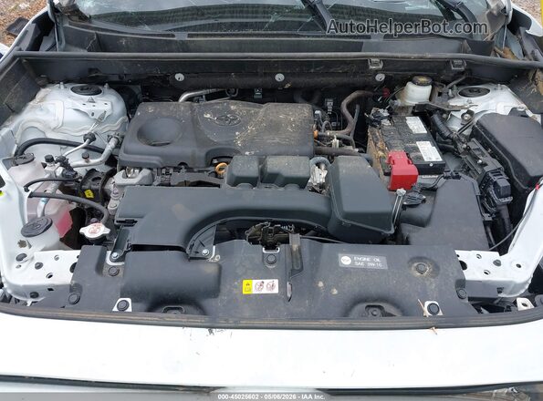 2T3P1RFV6PW331318 2023 TOYOTA LE White Հետևի տեսք