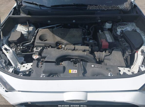 2T3P1RFV7KC040353 2019 TOYOTA RAV4 White უკანა ხედი