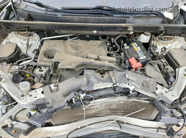 2T3P1RFV9KW058318 2019 TOYOTA RAV4 White 