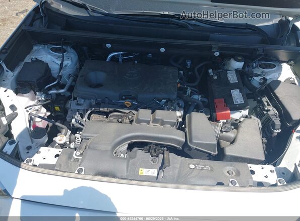 2T3P1RFV9RC471786 2024 TOYOTA RAV4 White Widok z tyłu