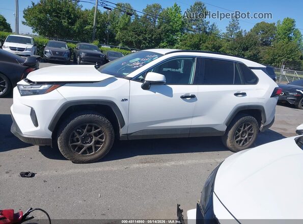 2T3P1RFVXPC329881 2023 TOYOTA RAV4 White სალონის 360-გრადუსიანი ხედი