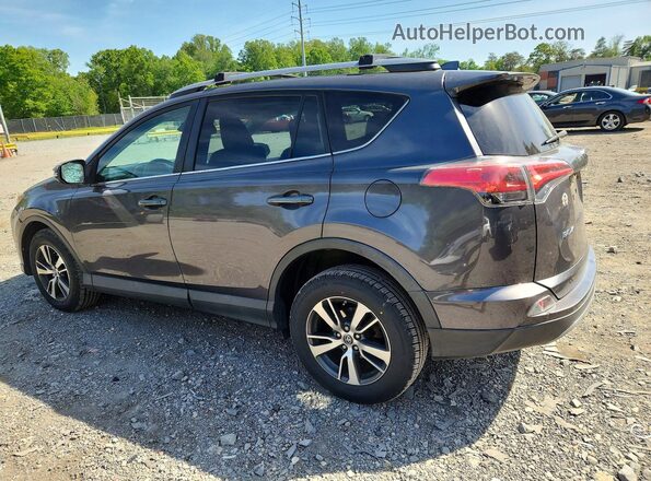 2T3RFREV2HW692302 2017 TOYOTA RAV Gray უკანა მარცხენა