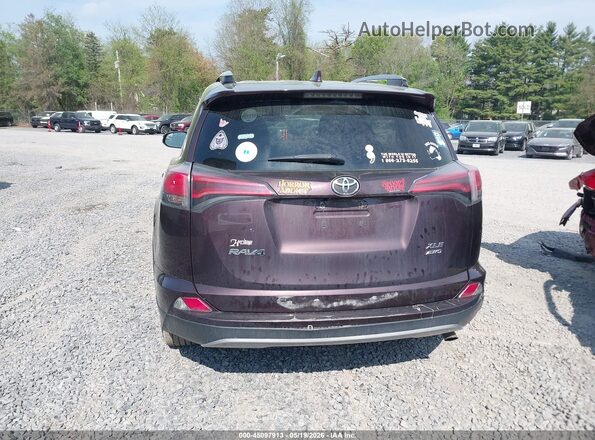 2T3RFREV5HW555399 2017 TOYOTA RAV4 Burgundy 