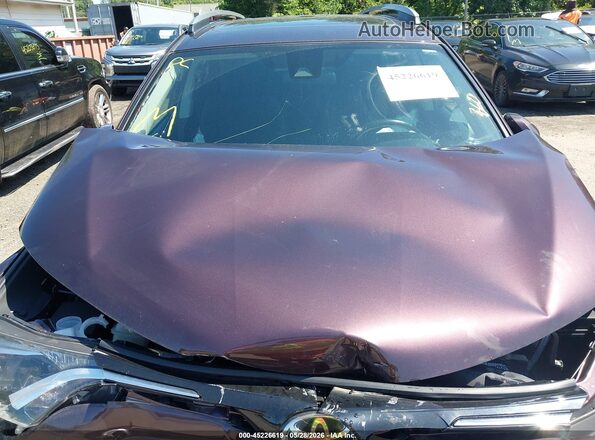 2T3RFREV8JW754419 2018 TOYOTA RAV4 Purple Вид ззаду