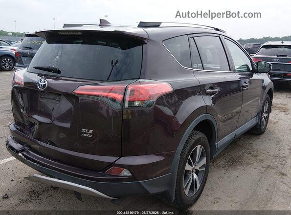 2T3RFREVXGW483291 2016 TOYOTA RAV4 Purple Задня права чверть