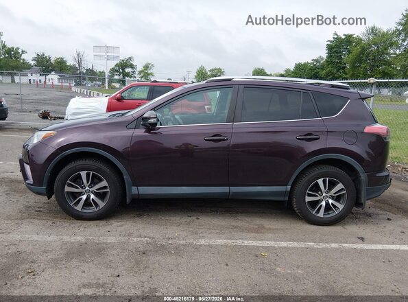 2T3RFREVXGW483291 2016 TOYOTA RAV4 Purple Панорамний вид салону 360°