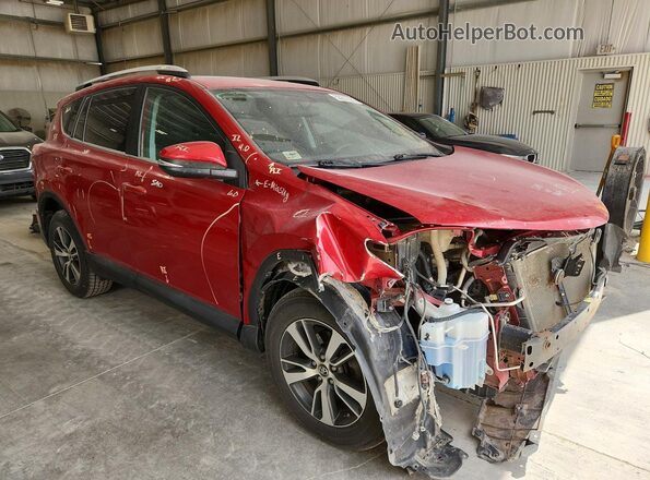2T3RFREVXGW516788 2016 TOYOTA RAV4 Red 