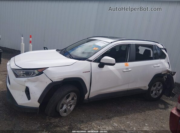 2T3RWRFV0LW073995 2020 TOYOTA RAV4 HYBRID Белый Вид задней части салона